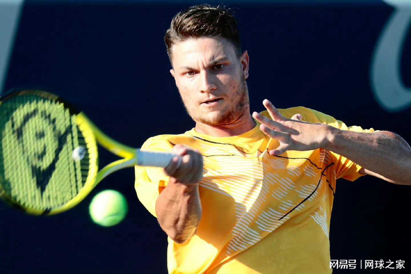 如果获胜, ws, dingy